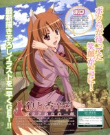 BUY NEW spice and wolf - 175323 Premium Anime Print Poster